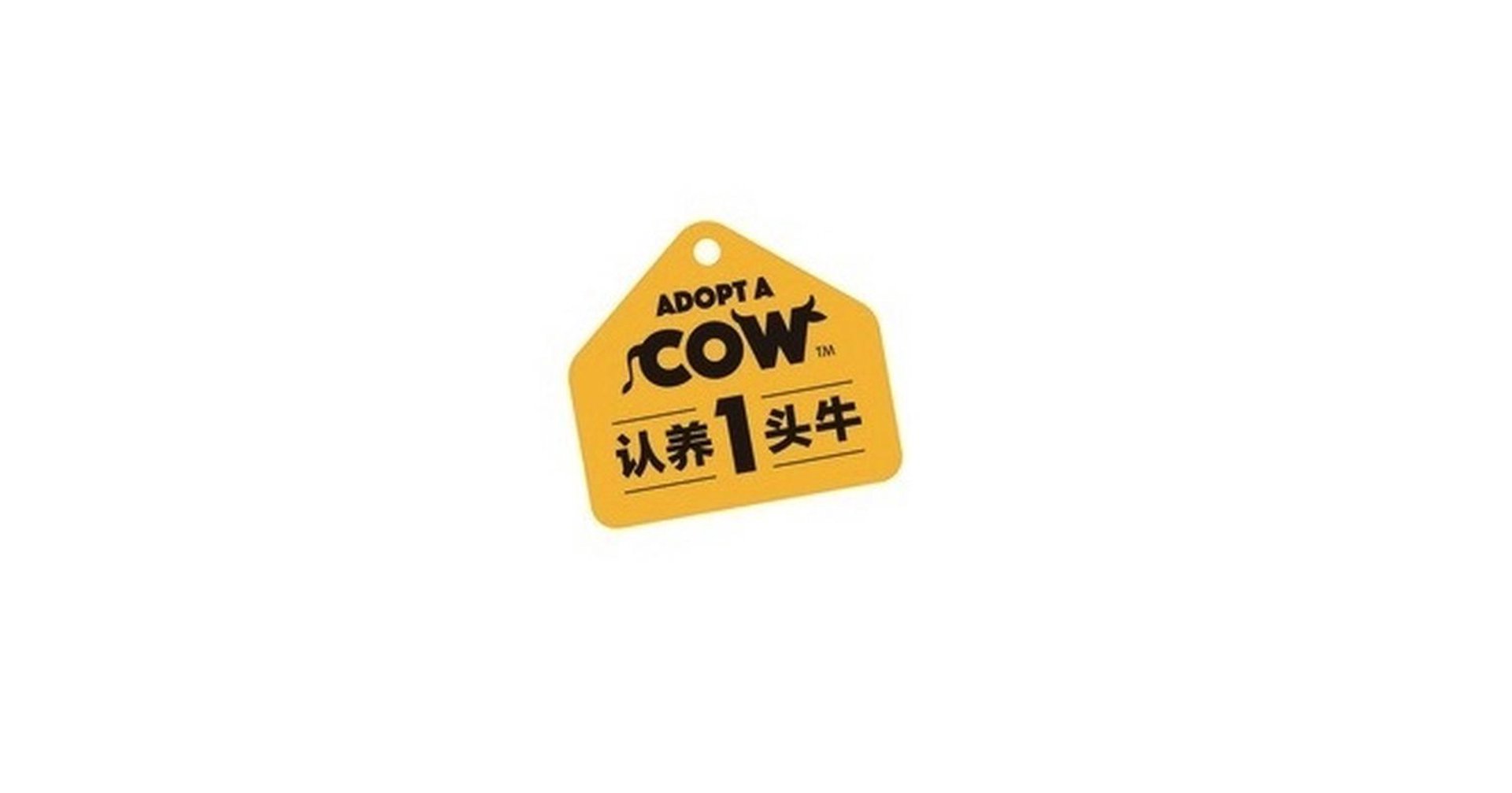 德盛泰贸易